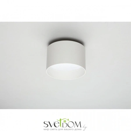 Настенно-потолочные светильники Omnilux OML-100419-16 от Магазина Svetdom.by
