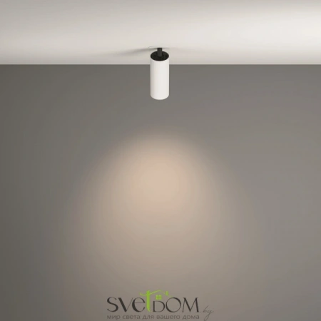 Потолочные светильники Maytoni C053CL-L12W4K-W-W от Магазина Svetdom.by