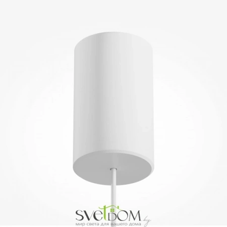 Подвесные светильники Maytoni P113-L12-3K-W от Магазина Svetdom.by