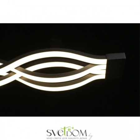 Настенно-потолочные светильники Aployt APL.002.17.72 от Магазина Svetdom.by