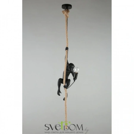 Подвесные светильники Aployt APL.309.16.01 от Магазина Svetdom.by