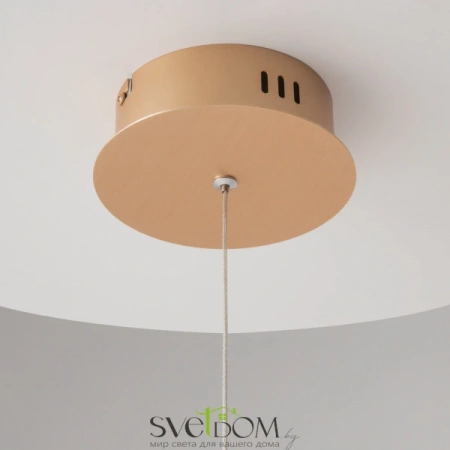 Подвесные светильники Maytoni MOD017PL-L13G от Магазина Svetdom.by