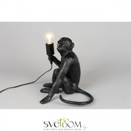 APL.309.24.01 Aployt