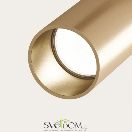 Потолочные светильники Maytoni C020CL-01GB от Магазина Svetdom.by