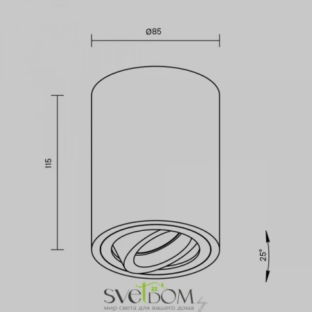 Фото Потолочные светильники Maytoni C016CL-01W Потолочные светильники Maytoni C016CL-01W от Магазина Svetdom.by