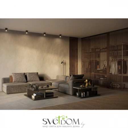 Потолочные светильники Maytoni C017CL-01B от Магазина Svetdom.by