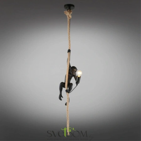 Подвесные светильники Aployt APL.309.16.01 от Магазина Svetdom.by