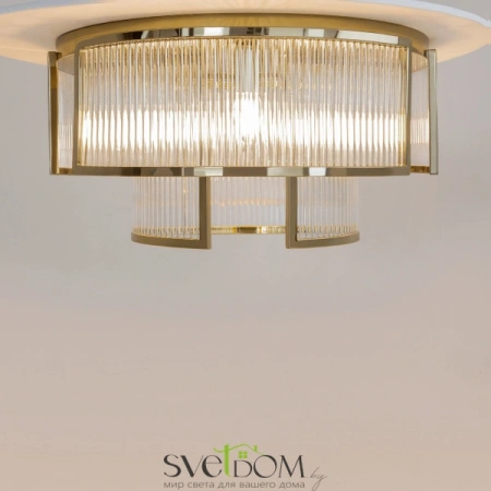 Потолочные светильники Maytoni MOD174CL-06G от Магазина Svetdom.by