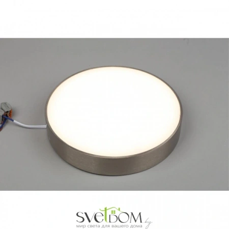 Настенно-потолочные светильники Aployt APL.0114.19.24 от Магазина Svetdom.by