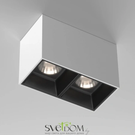 Потолочные светильники Maytoni C065CL-02-L12W4K-W от Магазина Svetdom.by