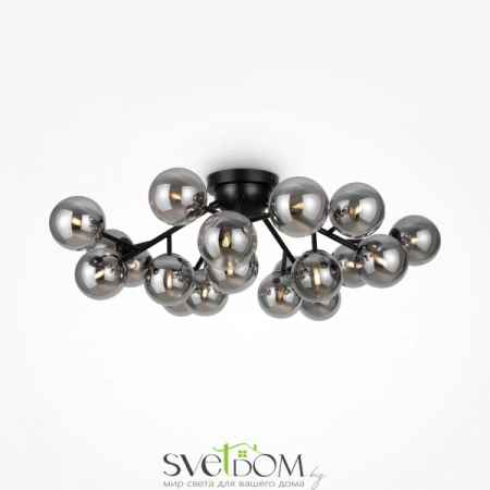 Потолочные светильники Maytoni MOD545CL-20B от Магазина Svetdom.by