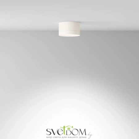 Потолочные светильники Maytoni C086CL-GX53-SRD-W от Магазина Svetdom.by