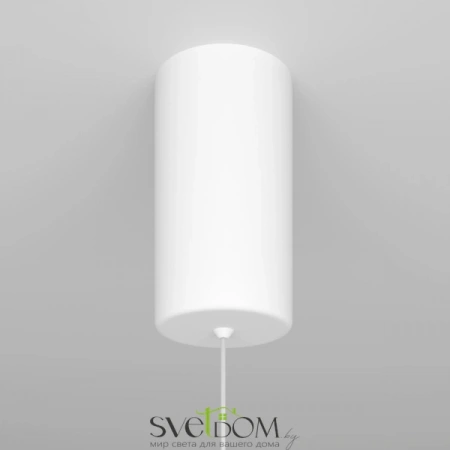 Подвесные светильники Maytoni P022PL-L10W от Магазина Svetdom.by