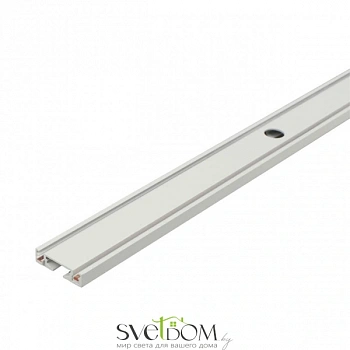 Шинопровод трековый Aployt  APL.0170.10.300