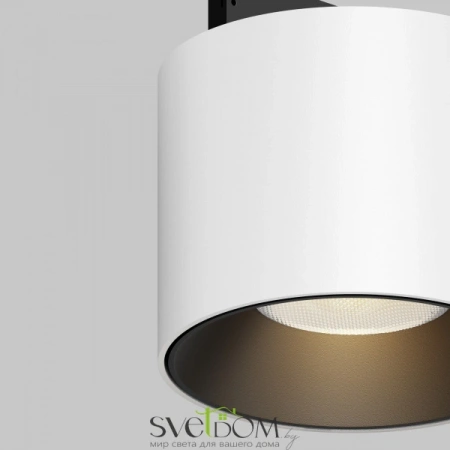 TR188-1-5W3K-M-BW Maytoni