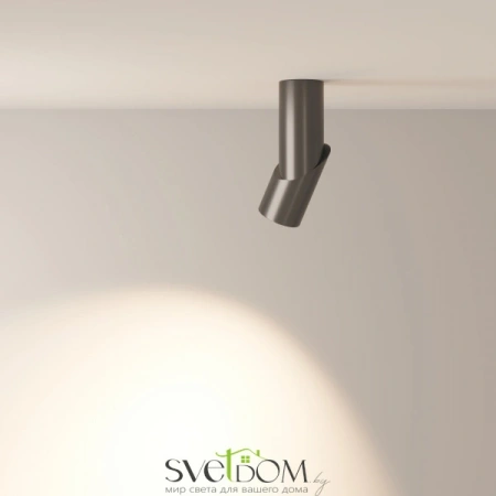 Потолочные светильники Maytoni C027CL-L10B4K от Магазина Svetdom.by