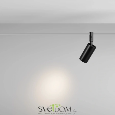 TR201-1-15W3K-M-B Maytoni