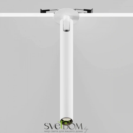 Встраиваемые светильники Maytoni C141RS-L300-6W3K-W от Магазина Svetdom.by