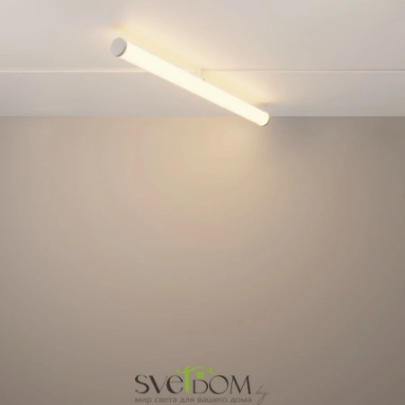 TR086-4-25W-DS-W Maytoni