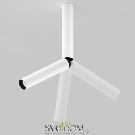 Потолочные светильники Maytoni C142CL-6W4K-W от Магазина Svetdom.by