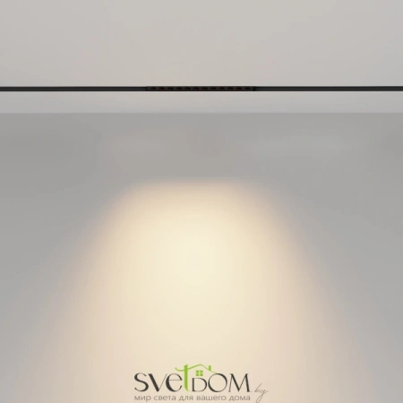 TR031-2-12W2.7K-B Maytoni