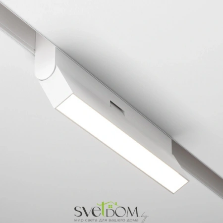 TR036-2-12W4K-W Maytoni