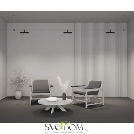 TR203-1-10W3K-S-B Maytoni