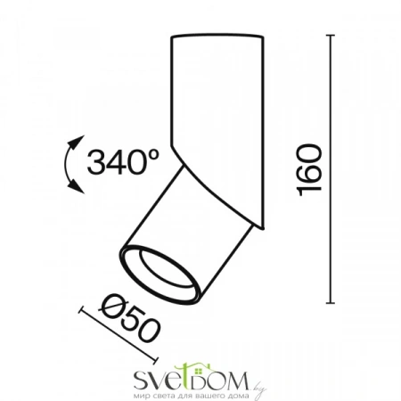 Потолочные светильники Maytoni C027CL-L10W от Магазина Svetdom.by