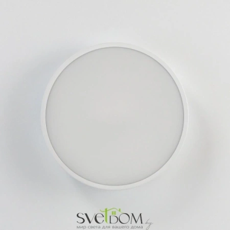 Потолочные светильники CITILUX CL72424V0 от Магазина Svetdom.by