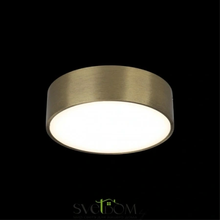 Настенно-потолочные светильники Aployt APL.0114.29.24 от Магазина Svetdom.by