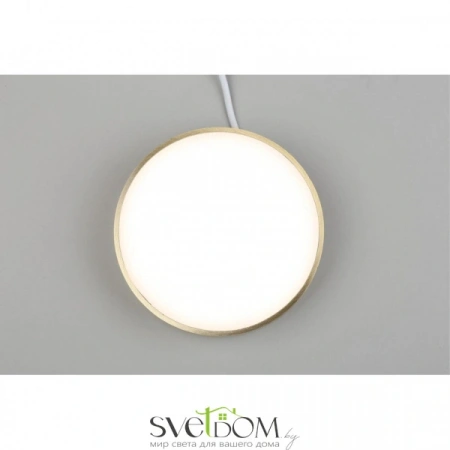 Настенно-потолочные светильники Aployt APL.0114.29.18 от Магазина Svetdom.by