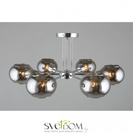 Люстры потолочныеOML-93807-06 Omnilux | Svetdom.by