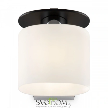 Бра и настенные светильники FR5101-WL-01-CN Freya | Svetdom.by