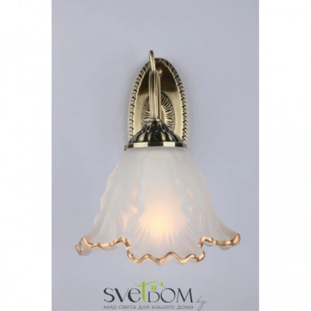 Настенные светильники OML-54801-01 Omnilux | Svetdom.by