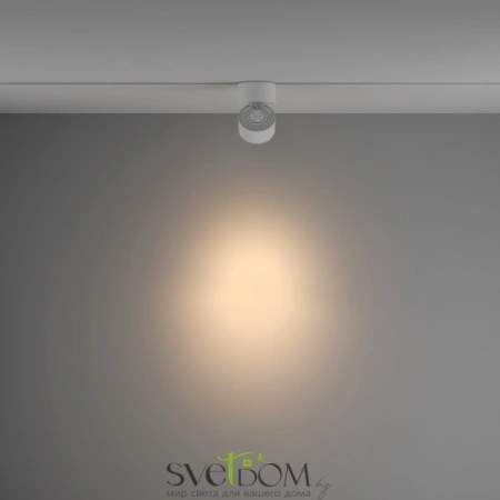 TR084-1-15W3K-W Maytoni