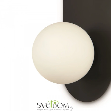 Настенные светильники MOD419WL-01B Maytoni | Svetdom.by