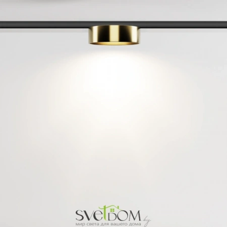 TR189-1-12W4K-BBS Maytoni