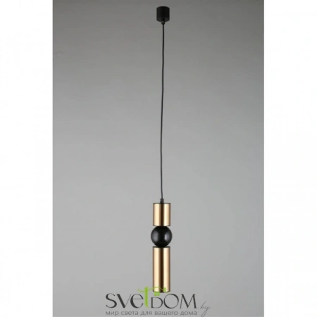 Подвесные светильники Aployt APL.615.16.01 от Магазина Svetdom.by