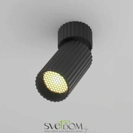 Потолочные светильники Maytoni C108CL-01-GU10-B от Магазина Svetdom.by