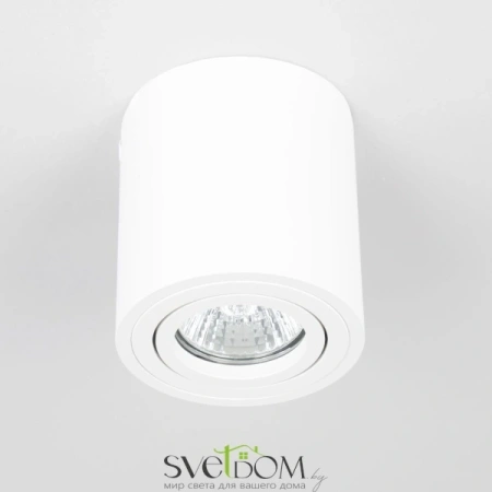 Citilux Дюрен CL538111 Светильник накладной поворотный Белый CITILUX