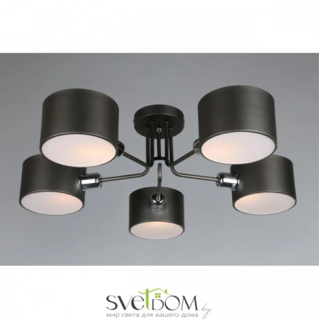 Люстры потолочныеOML-54507-05 Omnilux | Svetdom.by