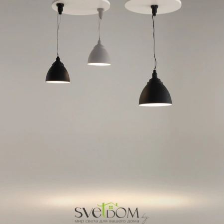 Фото Подвесные светильники Maytoni P534PL-01W Подвесные светильники Maytoni P534PL-01W от Магазина Svetdom.by