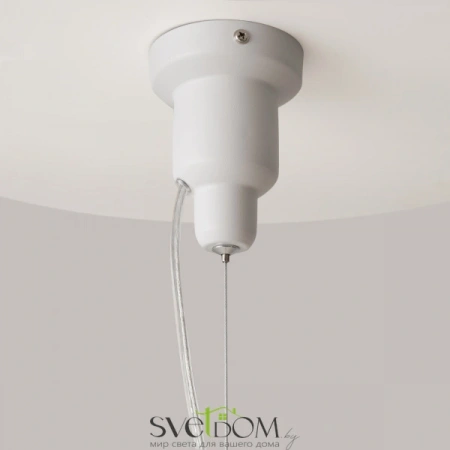 Фото Подвесные светильники Maytoni P534PL-01W Подвесные светильники Maytoni P534PL-01W от Магазина Svetdom.by