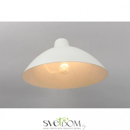 Настенные светильники APL.632.11.01 Aployt | Svetdom.by