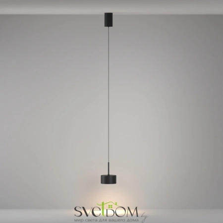 Подвесные светильники Maytoni P102PL-12W3K-B от Магазина Svetdom.by