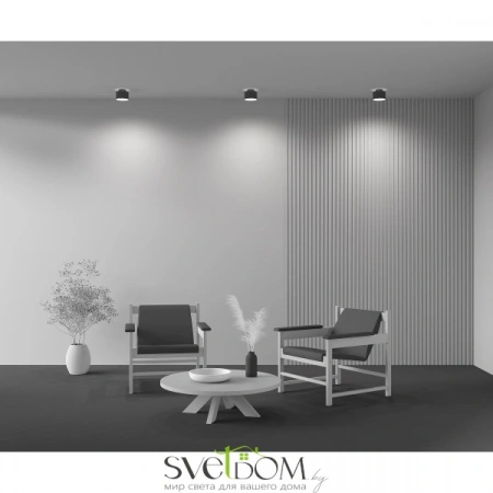 Фото Потолочные светильники Maytoni C009CW-L16B Потолочные светильники Maytoni C009CW-L16B от Магазина Svetdom.by