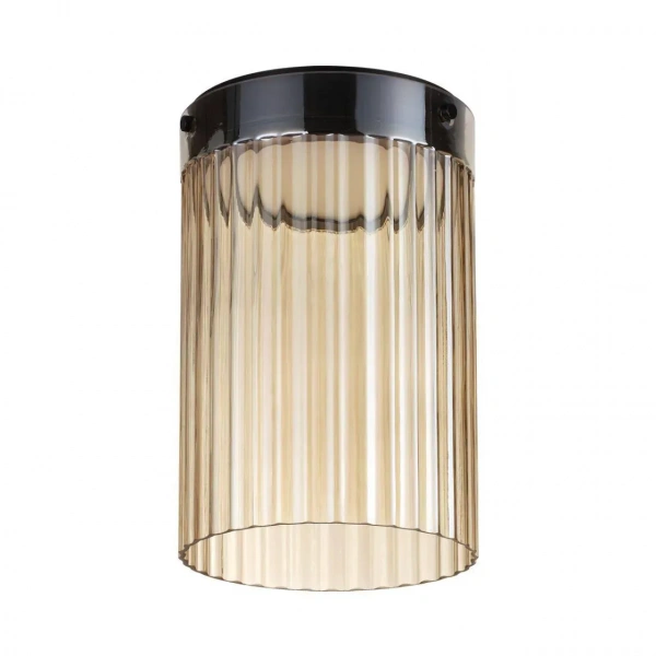 Потолочные светильники Odeon Light 5047/15LC от Магазина Svetdom.by