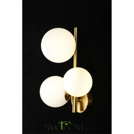 Настенные светильники APL.314.01.03 Aployt | Svetdom.by