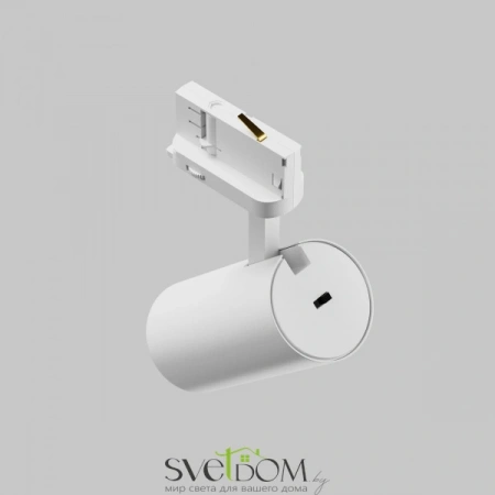 TR197-3-12WCCT-M-W Maytoni