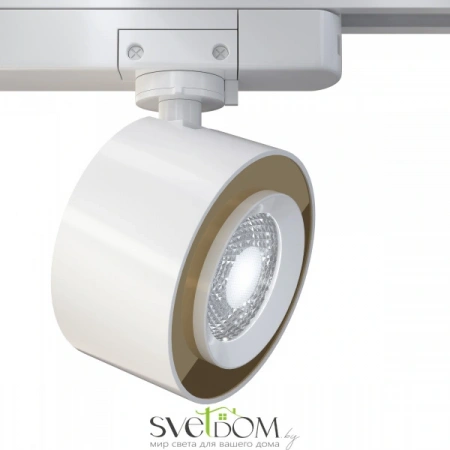 Светильники Maytoni TR023-1-12W3K от Магазина Svetdom.by